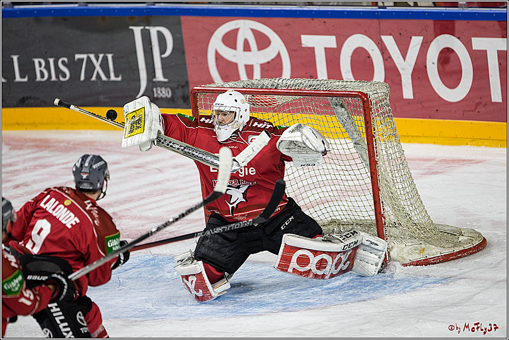 DEL, Koelner Haie - Grizzlys Wolfsburg, 07.03.2017